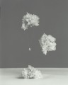GROOVY, Kolekcja Bloom 53.jpg