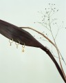 GROOVY, Kolekcja Bloom 27.jpg