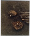 Groovy, Sparks 27.jpg