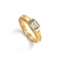 Groovy, Sygnet Sparks Sky Blue, gold.jpg