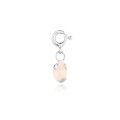 GROOVY Charms Bloom Rose silver..jpg